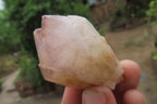 Natural Pineapple Candle Quartz Crystals x 35 From Antsirabe, Madagascar - Toprock Gemstones and Minerals 