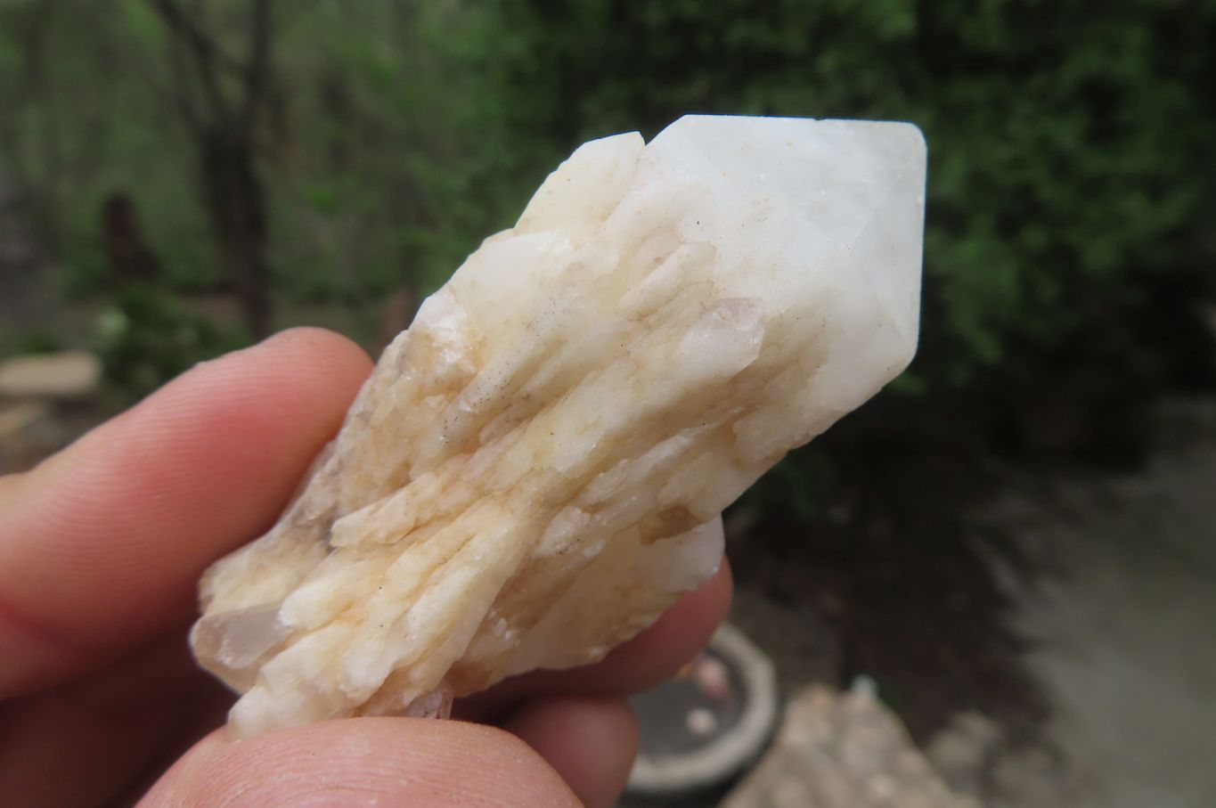 Natural Pineapple Candle Quartz Crystals x 35 From Antsirabe, Madagascar - Toprock Gemstones and Minerals 