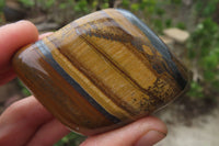 Polished Tiger's Eye Free Forms x 12 From Prieska, South Africa