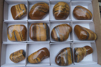 Polished Tiger's Eye Free Forms x 12 From Prieska, South Africa