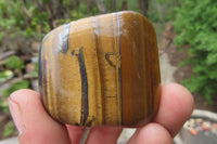 Polished Tiger's Eye Free Forms x 12 From Prieska, South Africa