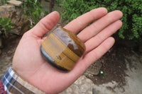 Polished Tiger's Eye Free Forms x 12 From Prieska, South Africa