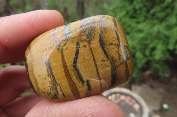 Polished Tiger's Eye Free Forms x 12 From Prieska, South Africa