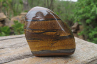 Polished Tiger's Eye Free Forms x 12 From Prieska, South Africa