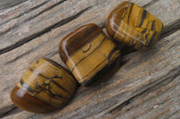 Polished Tiger's Eye Free Forms x 12 From Prieska, South Africa