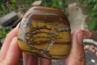 Polished Tiger's Eye Free Forms x 12 From Prieska, South Africa