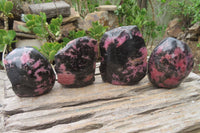 Polished On One Side Rhodonite Standing Free Forms x 4 From Madagascar