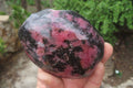 Polished On One Side Rhodonite Standing Free Forms x 4 From Madagascar - Toprock Gemstones and Minerals 