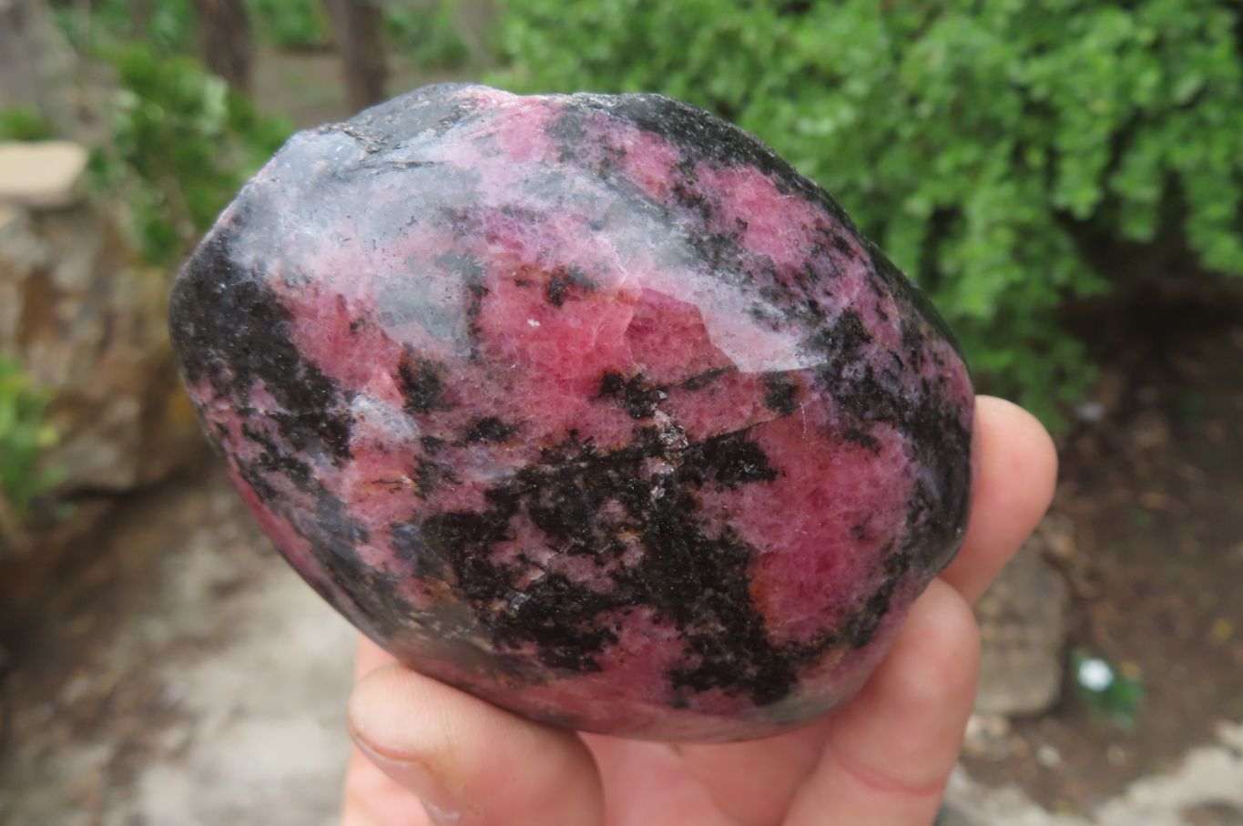 Polished On One Side Rhodonite Standing Free Forms x 4 From Madagascar - Toprock Gemstones and Minerals 