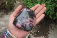 Polished On One Side Rhodonite Standing Free Forms x 4 From Madagascar