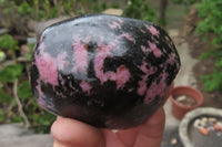 Polished On One Side Rhodonite Standing Free Forms x 4 From Madagascar