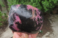 Polished On One Side Rhodonite Standing Free Forms x 4 From Madagascar