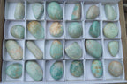 Polished Amazonite Palm Stones x 24 from Zimbabwe - Toprock Gemstones and Minerals 