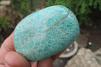 Polished Amazonite Palm Stones x 24 from Zimbabwe - Toprock Gemstones and Minerals 