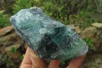 Natural Watermelon Fluorite Cobbed Specimens x 6 From Uis, Namibia - Toprock Gemstones and Minerals 