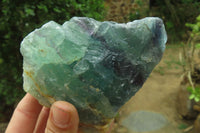 Natural Watermelon Fluorite Cobbed Specimens x 6 From Uis, Namibia - Toprock Gemstones and Minerals 