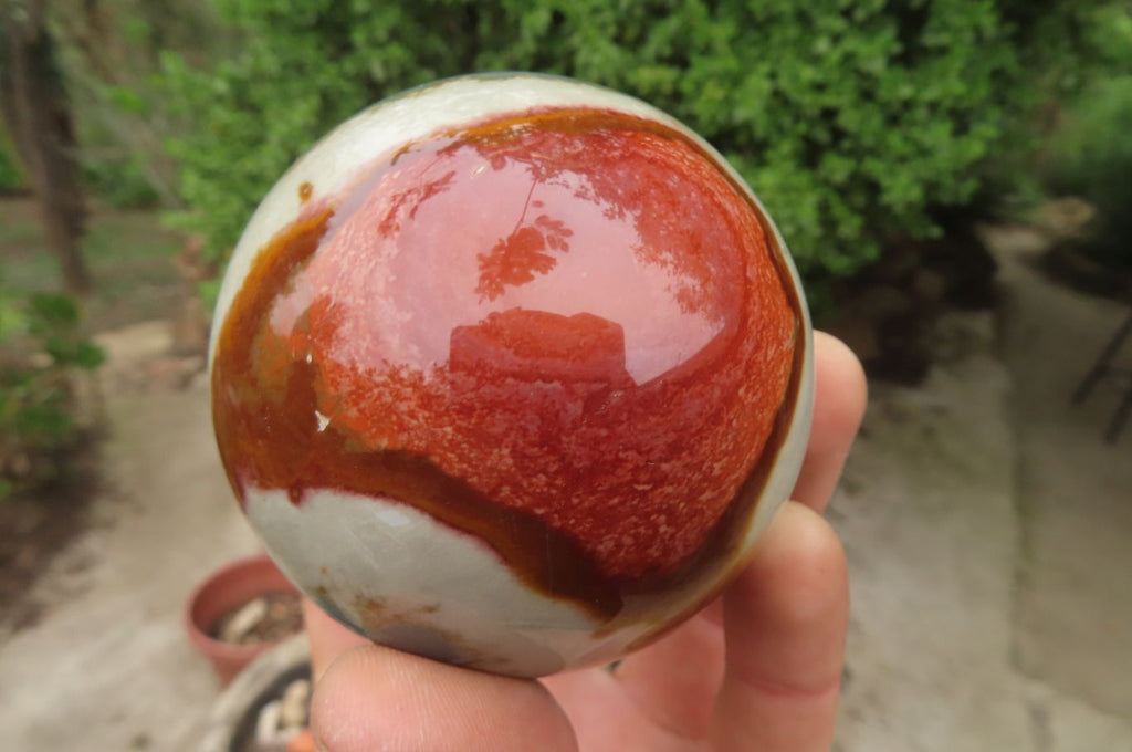 Polished Polychrome Jasper Spheres x 4 From Madagascar - Toprock Gemstones and Minerals 