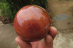 Polished Polychrome Jasper Spheres x 4 From Madagascar - Toprock Gemstones and Minerals 