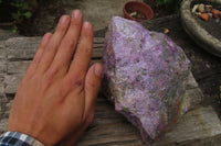 Natural Stichtite Specimen x 1 From Barberton, South Africa - Toprock Gemstones and Minerals 