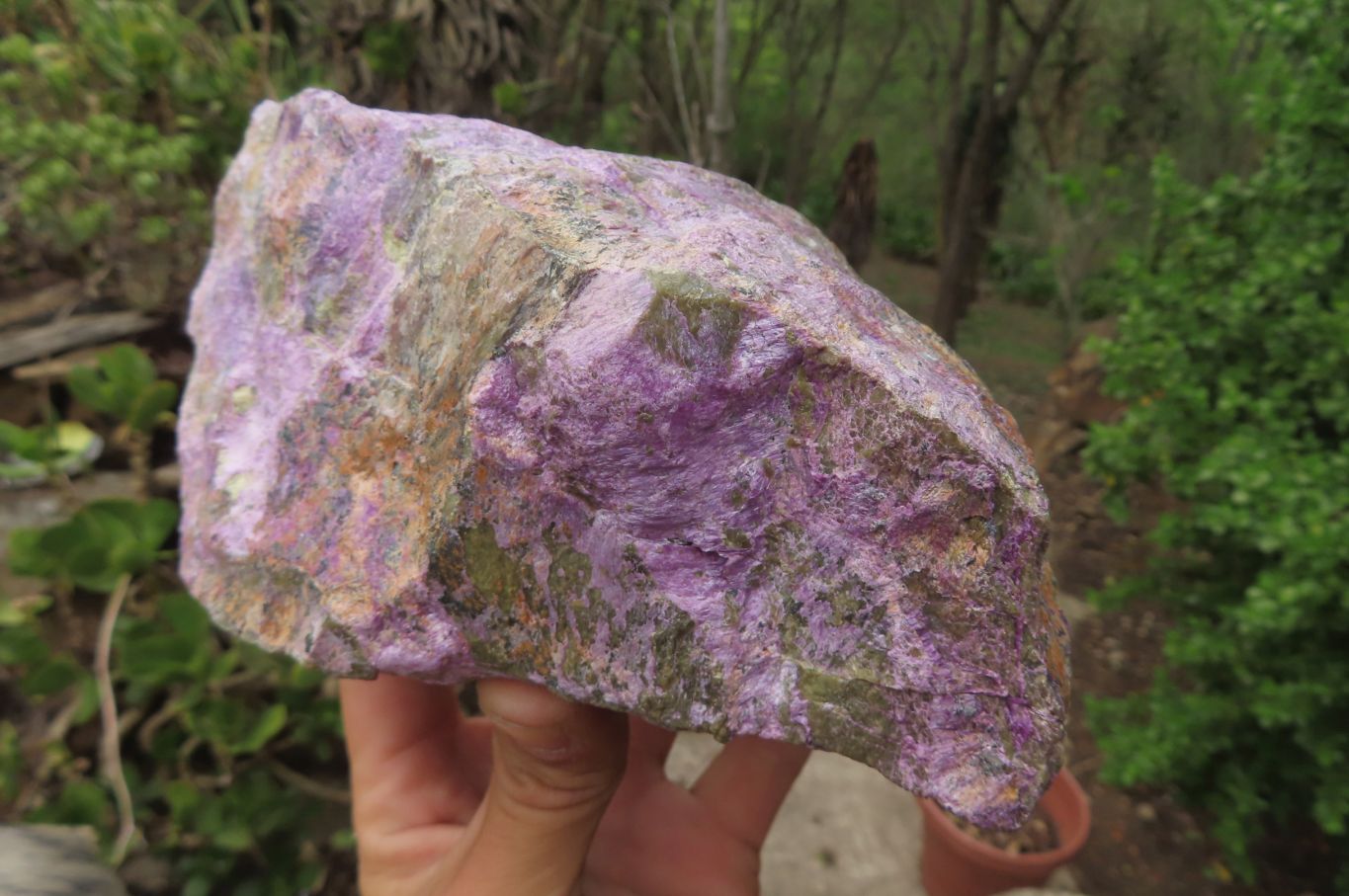 Natural Stichtite Specimen x 1 From Barberton, South Africa - Toprock Gemstones and Minerals 