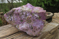 Natural Stichtite Specimen x 1 From Barberton, South Africa - Toprock Gemstones and Minerals 