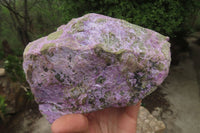 Natural Stichtite Specimen x 1 From Barberton, South Africa - Toprock Gemstones and Minerals 