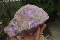 Natural Stichtite Specimen x 1 From Barberton, South Africa - Toprock Gemstones and Minerals 