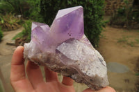 Natural Jacaranda Amethyst Quartz Clusters x 3 from Mumbwa, Zambia