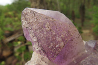 Natural Jacaranda Amethyst Quartz Clusters x 3 from Mumbwa, Zambia