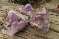 Natural Jacaranda Amethyst Quartz Clusters x 3 from Mumbwa, Zambia