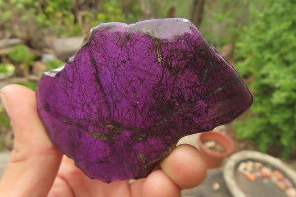 Polished On One Side Metallic Purpurite Specimens x 6 From Namibia - Toprock Gemstones and Minerals 
