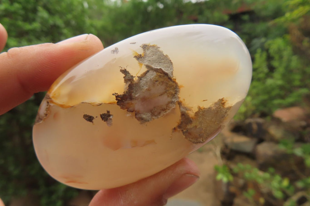 Polished Flower Agate Palm Stones x 12 From Madagascar - Toprock Gemstones and Minerals 