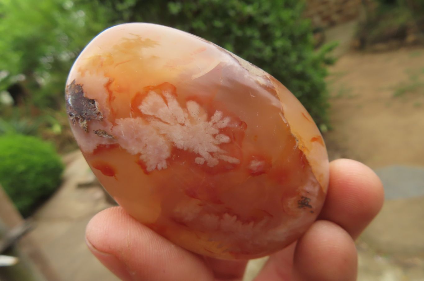 Polished Flower Agate Palm Stones x 12 From Madagascar - Toprock Gemstones and Minerals 