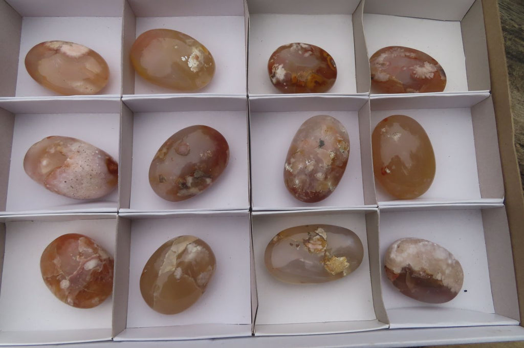 Polished Flower Agate Palm Stones x 12 From Madagascar - Toprock Gemstones and Minerals 