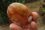 Polished Flower Agate Palm Stones x 12 From Madagascar - Toprock Gemstones and Minerals 