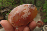 Polished Flower Agate Palm Stones x 12 From Madagascar - Toprock Gemstones and Minerals 