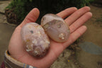 Polished Flower Agate Palm Stones x 12 From Madagascar - Toprock Gemstones and Minerals 