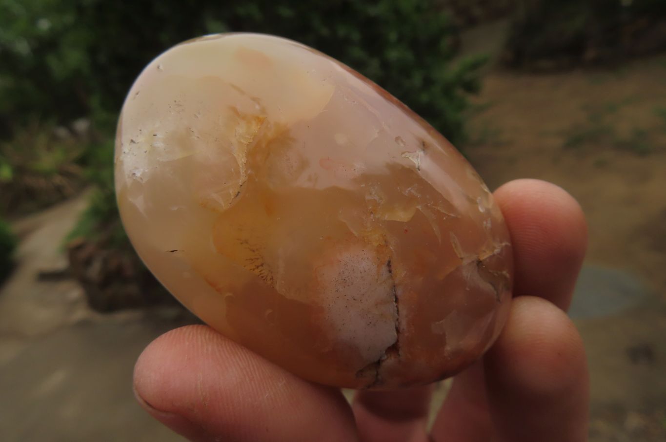 Polished Flower Agate Palm Stones x 12 From Madagascar - Toprock Gemstones and Minerals 