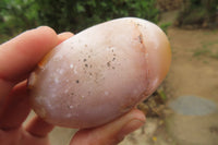 Polished Flower Agate Palm Stones x 12 From Madagascar - Toprock Gemstones and Minerals 