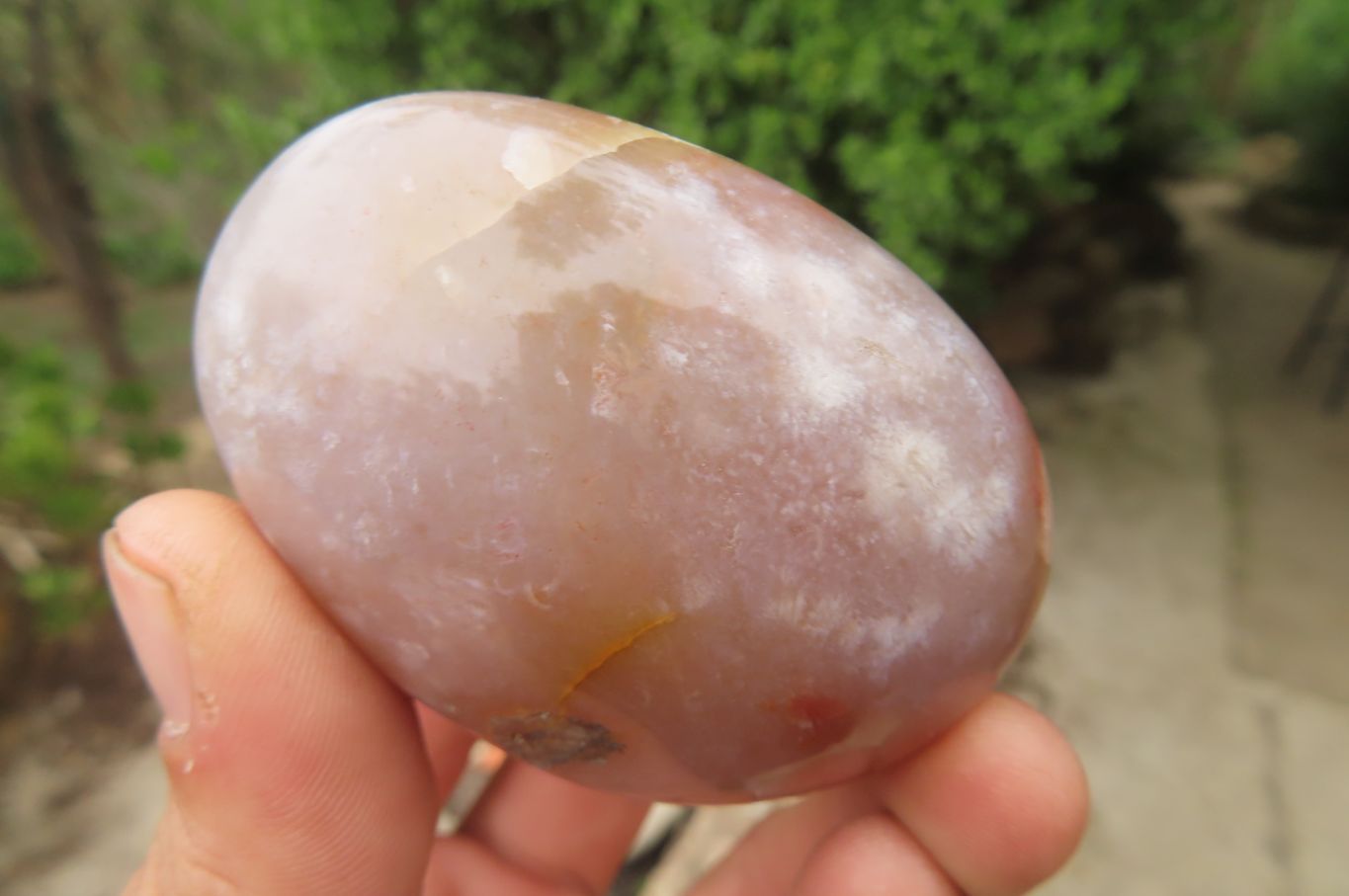 Polished Flower Agate Palm Stones x 12 From Madagascar - Toprock Gemstones and Minerals 