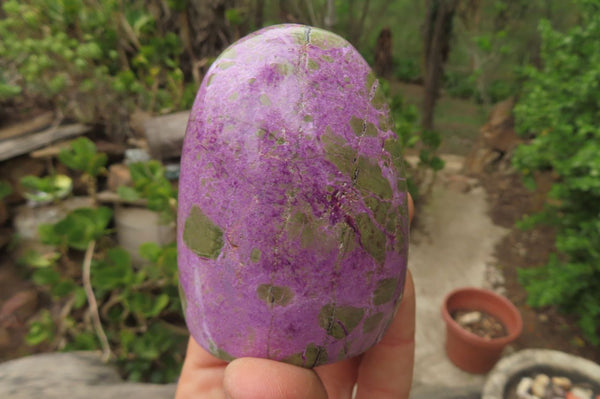 Polished Stichtite Standing Free Forms x 4 From Barberton, South Africa - Toprock Gemstones and Minerals 