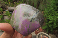 Polished Stichtite Standing Free Forms x 4 From Barberton, South Africa - Toprock Gemstones and Minerals 