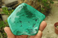 Polished Flower Banded Malachite Free Forms x 6 From Congo - Toprock Gemstones and Minerals 
