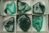 Polished Flower Banded Malachite Free Forms x 6 From Congo - Toprock Gemstones and Minerals 