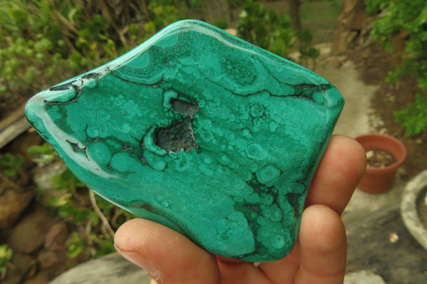 Polished Flower Banded Malachite Free Forms x 6 From Congo - Toprock Gemstones and Minerals 