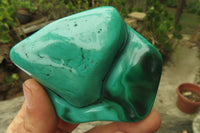 Polished Flower Banded Malachite Free Forms x 6 From Congo - Toprock Gemstones and Minerals 