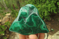 Polished Flower Banded Malachite Free Forms x 6 From Congo - Toprock Gemstones and Minerals 