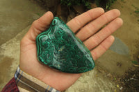Polished Flower Banded Malachite Free Forms x 6 From Congo - Toprock Gemstones and Minerals 