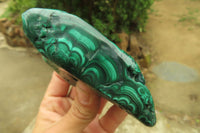 Polished Flower Banded Malachite Free Forms x 6 From Congo - Toprock Gemstones and Minerals 