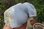 Natural Blue Lace Agate Geode Specimens x 6 From Malawi - Toprock Gemstones and Minerals 